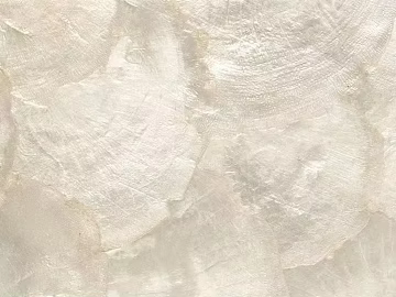 Diatom mud paint texture (ID:ffach216500)