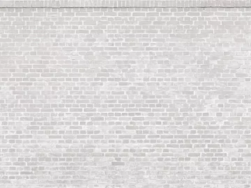 Brick wall texture (ID:ffaif3109)