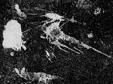 black and white smudge texture (ID:ffach751361)