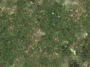 Turf texture (ID:ffaif5617)