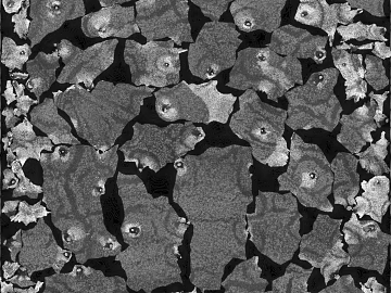 Deep gray gravel wall surface pavement texture (ID:ffaeh295396)