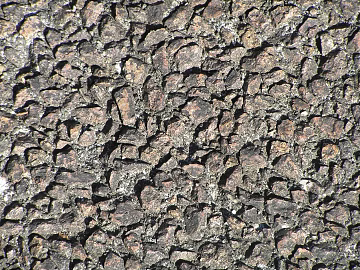 Rock wall texture (ID:ffaag66697)