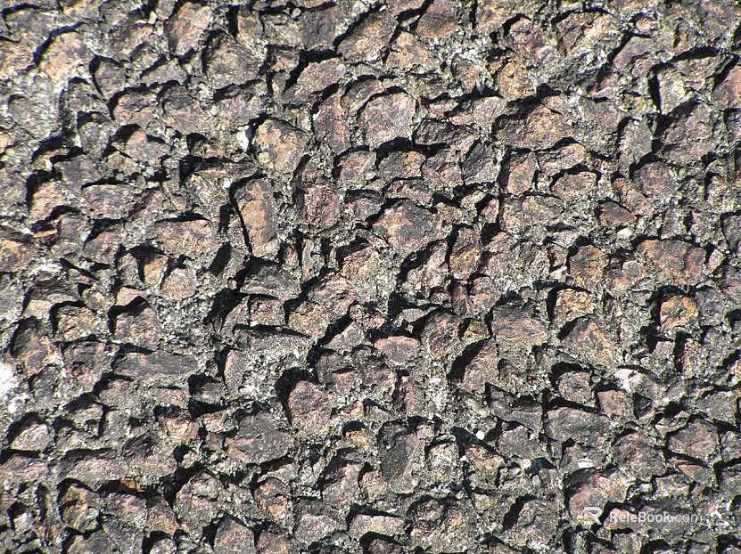 Rock wall texture
