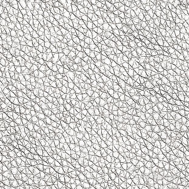 Highlight Mask texture