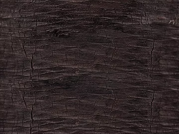 bark texture (ID:ffaag02399)