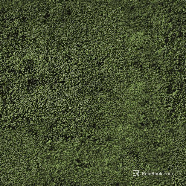 Plants texture