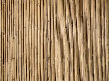 Bamboo texture (ID:ffach761736)