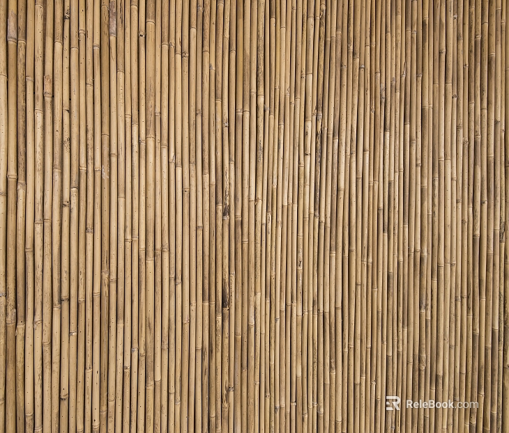 Bamboo texture
