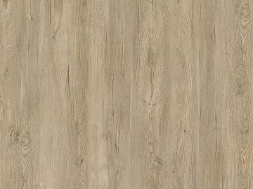 Italian white maple texture (ID:ffach464038)