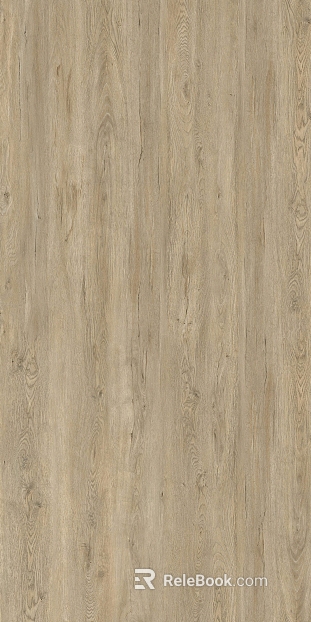 Italian white maple texture