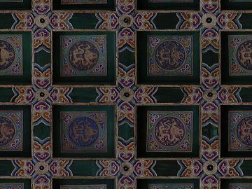 smallpox texture (ID:ffajg51532)