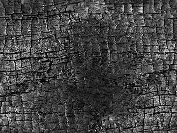 charred wood roasted mahogany seamless texture (ID:ffaag11540)