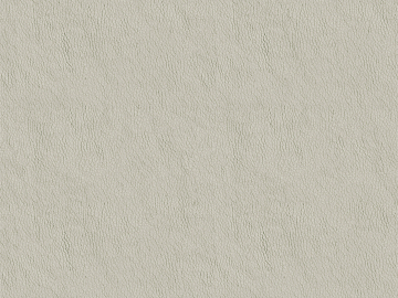 fine grain leather texture (ID:ffabg00544)