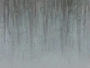Grey cement industrial wind wall surface texture (ID:ffaeh725839)