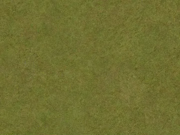 Turf texture (ID:ffacg22036)