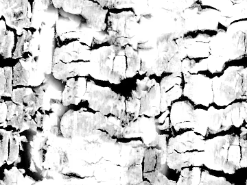 Black and white bark texture natural decorative surface (ID:ffaeh228526)