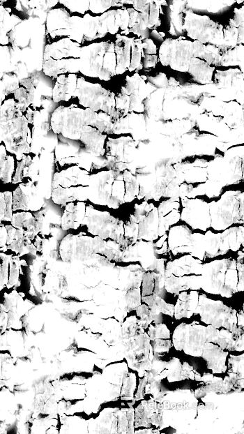 Black and white bark texture natural decorative surface texture
