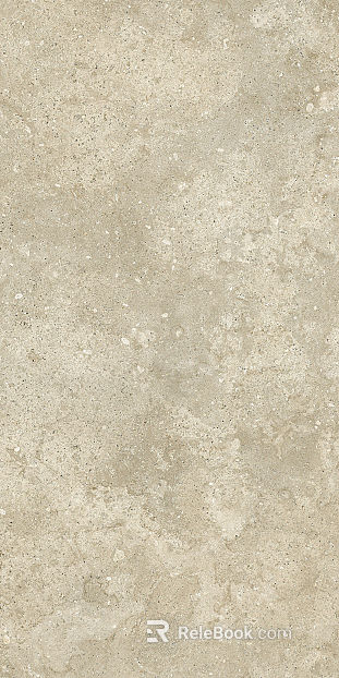 Lyme Stone Jinyi Tao Lyme Stone texture