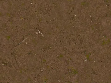 grassland soil wetland ground texture (ID:ffach077716)