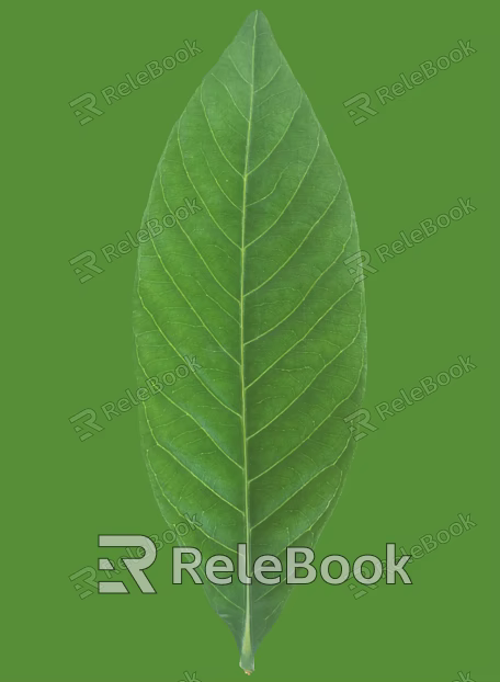 green leaf texture