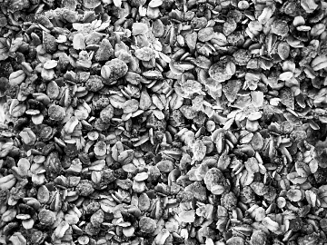 Black and White Bump texture (ID:ffaag19991)