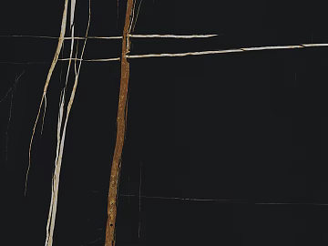 Mesh Marble Lauren Black Gold Stone texture (ID:ffabg72855)