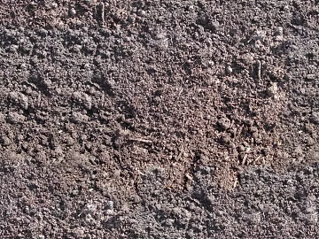 Mud 3d model