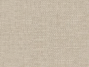 plain cloth 3d model