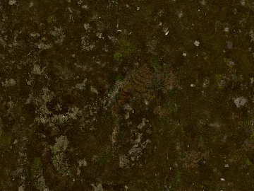 moss texture (ID:ffach766716)