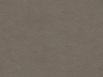 fine grain leather texture (ID:ffacg38617)