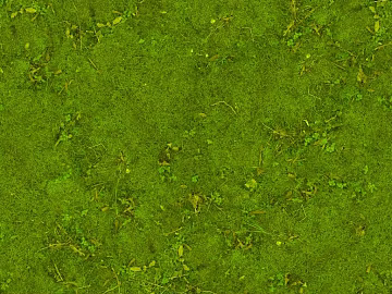 Turf texture (ID:ffach133016)