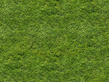 turf lawn texture (ID:ffach079338)