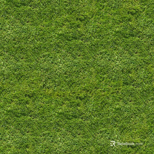turf lawn texture