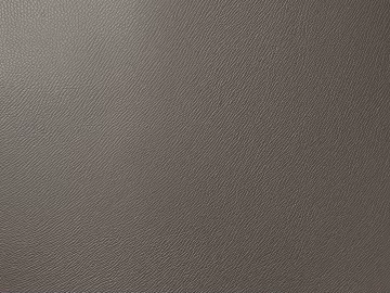 fine grain leather 3d model