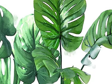 Plant painting texture (ID:ffaeg05364)