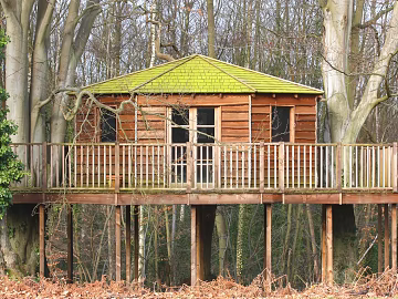 Natural cabin pictures texture (ID:ffach289984)