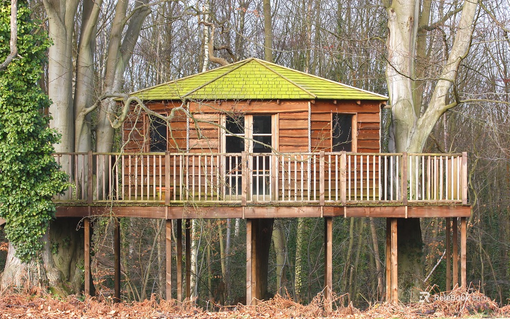 Natural cabin pictures texture