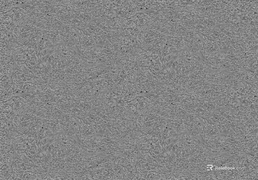 Highlight Mask texture