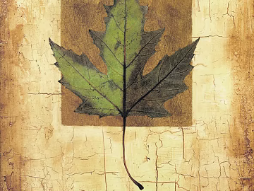 decorative painting texture (ID:ffaeg92900)