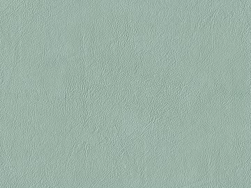 fine grain leather texture (ID:ffaag13748)