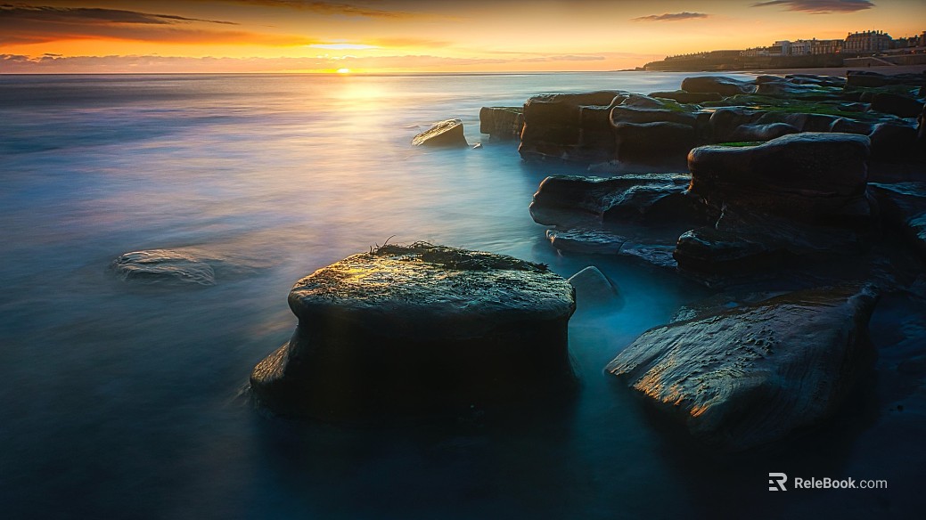 Wild Scenery texture