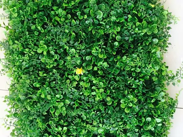 Plants texture (ID:ffacg66185)