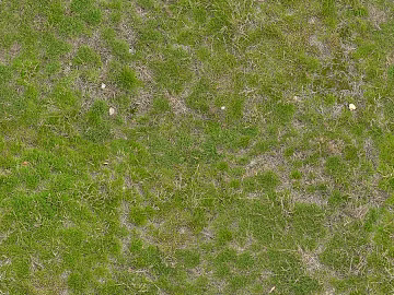 Turf texture (ID:ffabg13251)