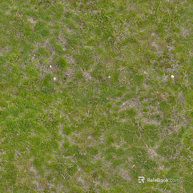 Turf texture