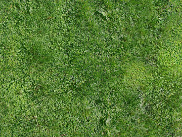 Turf texture (ID:ffajf3252)
