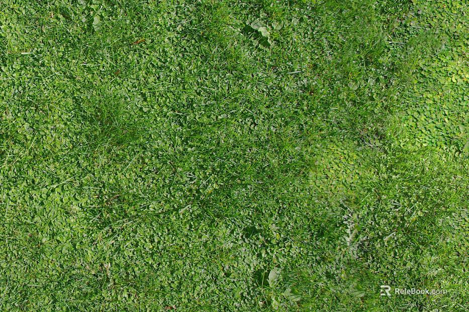 Turf texture