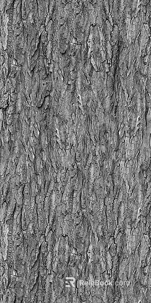 bark texture