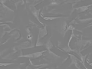 Highlight Mask texture (ID:ffaff1060)