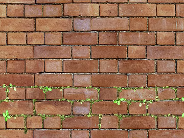Brick wall texture (ID:ffaeg94849)