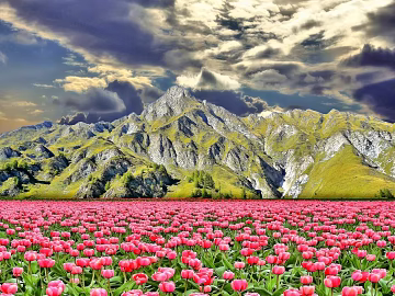 Wild Scenery texture (ID:ffabg55705)